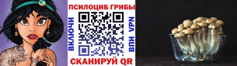 купить наркотик  Уяр  Псилоцибиновые грибы GOLDEN TEACHER 